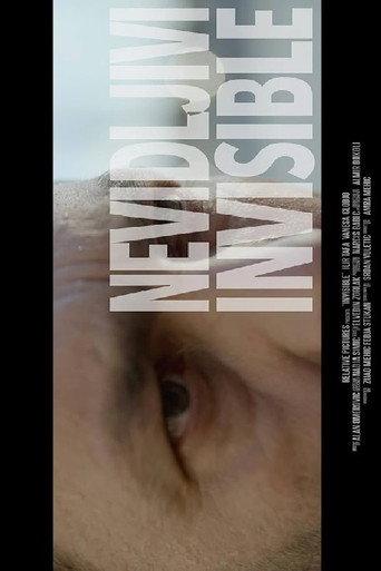 Invisible (2017) poster