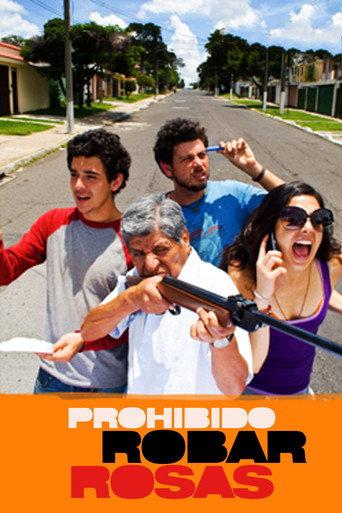 Stealing roses is prohibited! (2008) poster