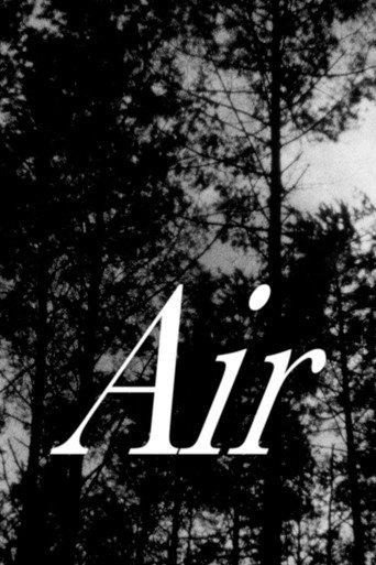 Air (2026) poster