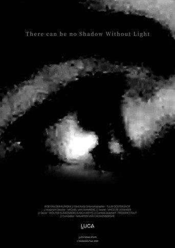 There can be no Shadow Without Light () poster