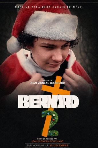 Pape Bernard 2 : How The Pope Stole Children (2025) poster