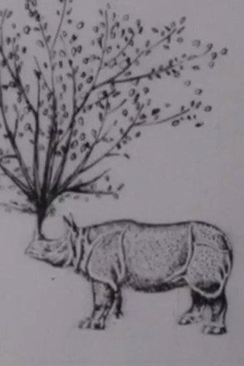 Rhinomorphose (1965) poster
