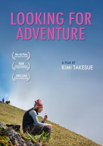 Looking for Adventure (2013) poster