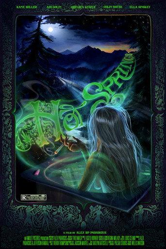 Hot Springs () poster