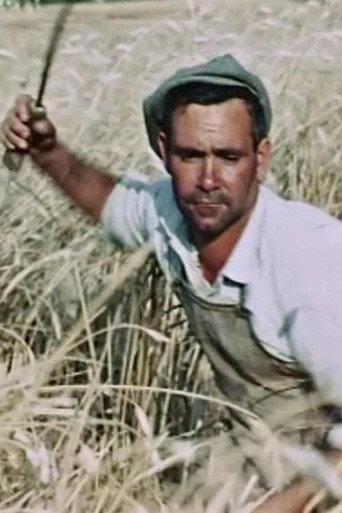 The Wheat Passion (1960) poster