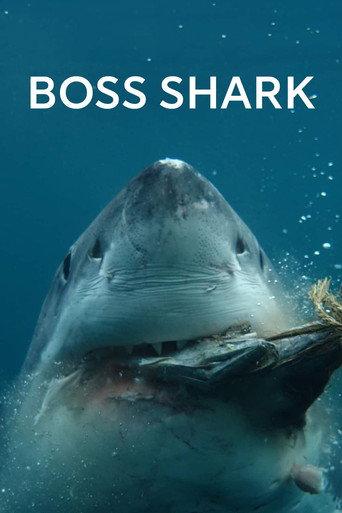 Boss Shark (2024) poster