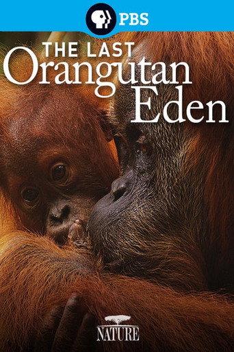 The Last Orangutan Eden () poster