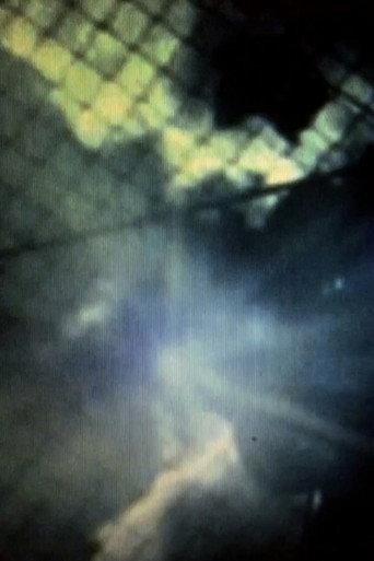 Waxing Moon (2009) poster