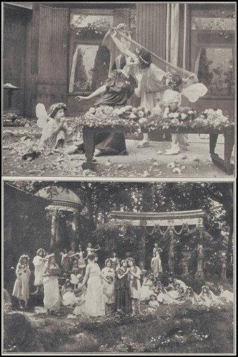 Le mariage de l'amour (1913) poster