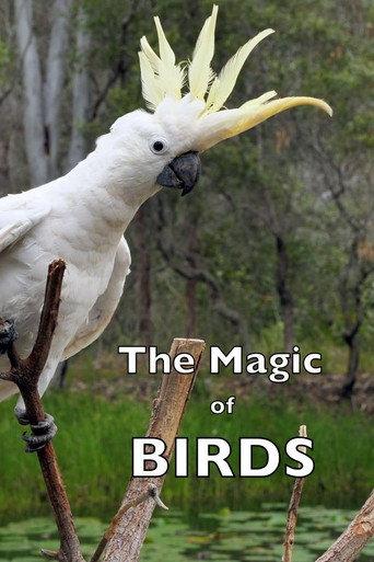 The Magic of BIRDS (2023) poster