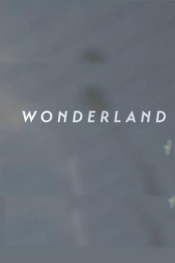 Wonderland | A Short Form Doc on Creative Commerce () poster