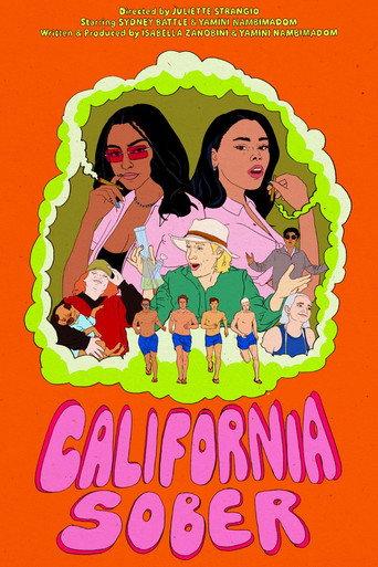 California Sober () poster