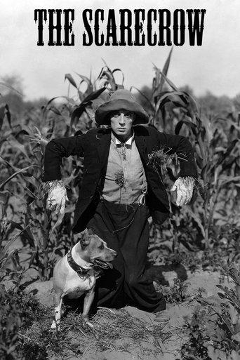 The Scarecrow (1920) poster