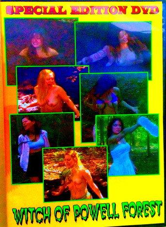 Witch Of Powell Forest (2001) poster