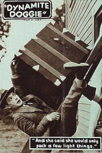 Dynamite Doggie (1925) poster