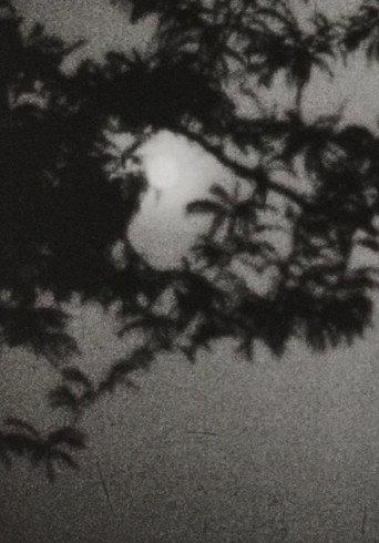 Moonplay (1962) poster