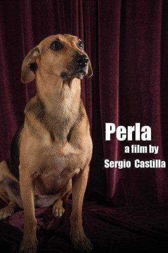 Perla (2015) poster