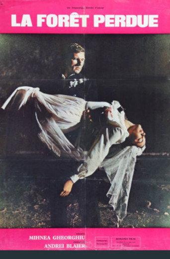The Lost Forest (1972) poster