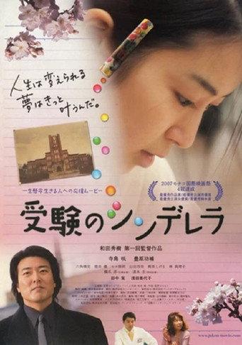 Cinderella Formula (2008) poster