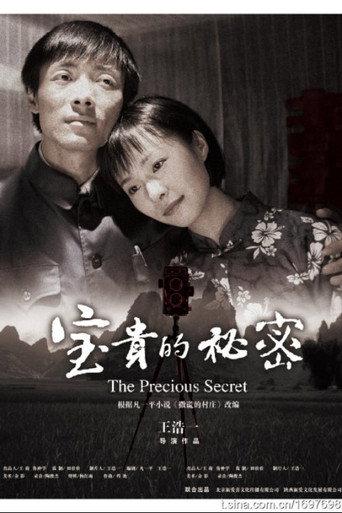 宝贵的秘密 (2009) poster
