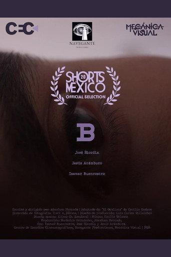 B (2025) poster
