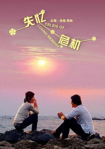 失忆危机 (2010) poster
