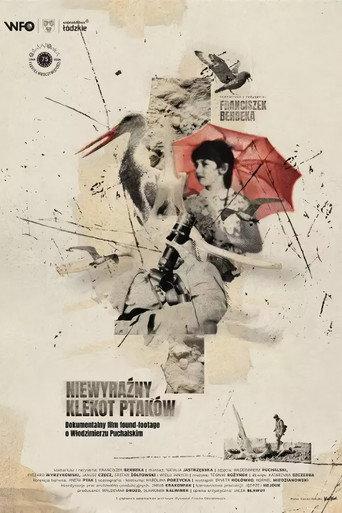 The Faint Clatter of Birds (2024) poster