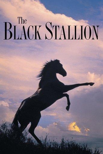 The Black Stallion (1979) poster