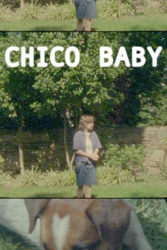 Chico Baby (2026) poster