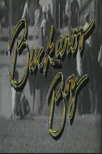 Buckaroo Boy (1996) poster