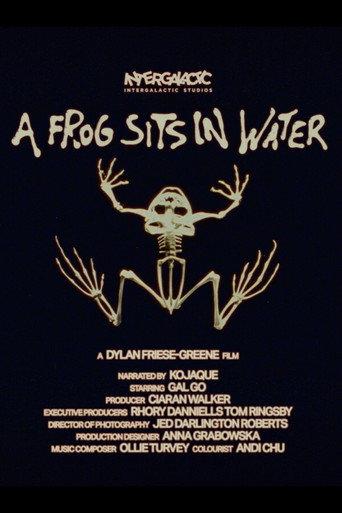 A Frog Sits In Water (2025) poster