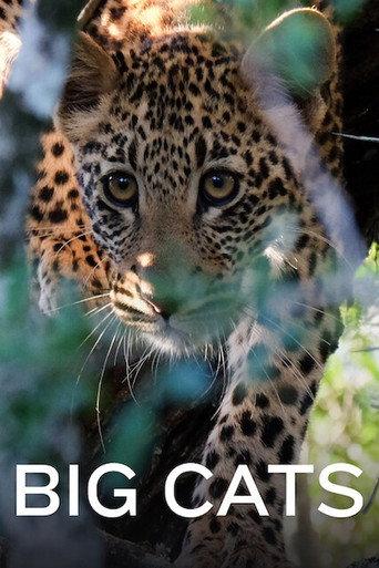 Big Cats () poster