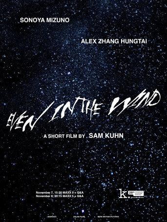 Even in the Wind (2024) poster