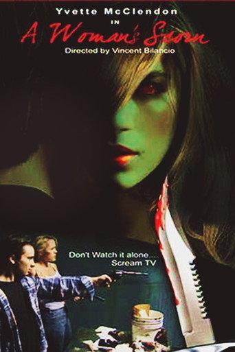 A Woman's Scorn (2007) poster