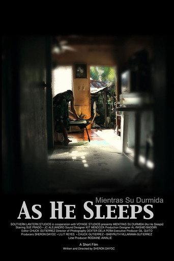 As He Sleeps (2012) poster
