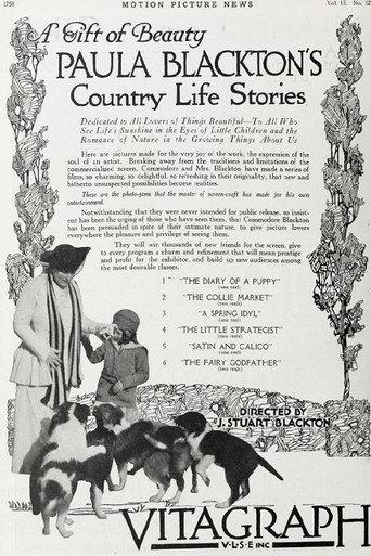 A Spring Idyll (1917) poster