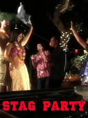 Stag Party (2004) poster