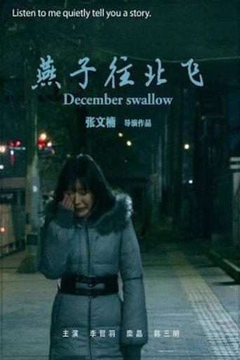 December Swallow (2019) poster