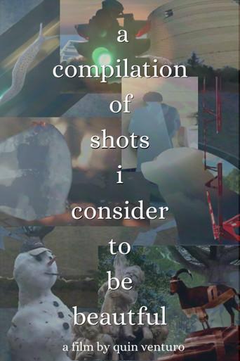 A Compilation Of Shots I Consider To Be Beautiful (2026) poster