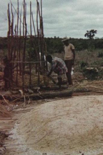 Making Toasted Cassava Flour () poster
