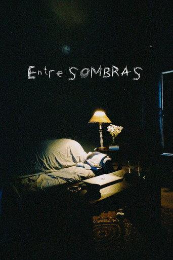 Entre sombras (2022) poster