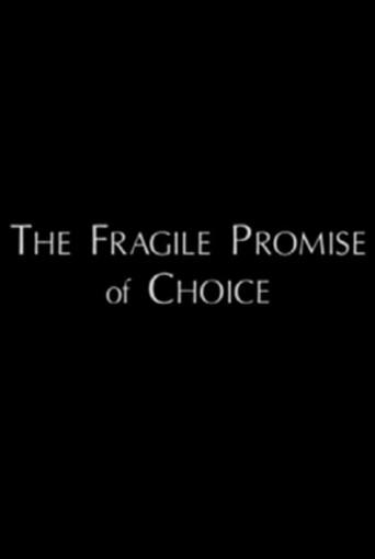 The Fragile Promise of Choice (1996) poster