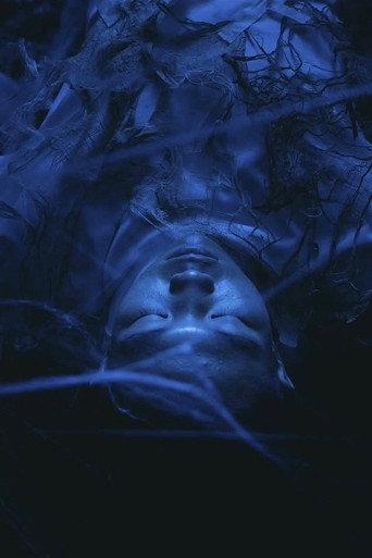 Spinner (2024) poster