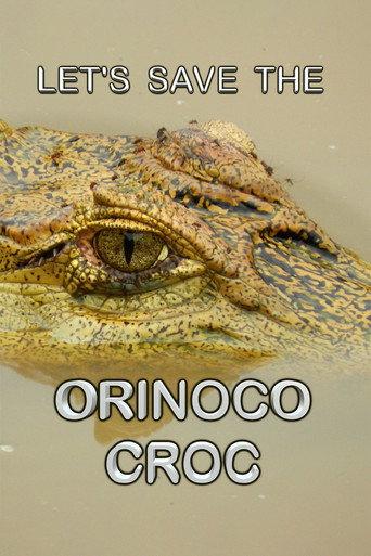 Let’s Save the Orinoco Croc (2010) poster