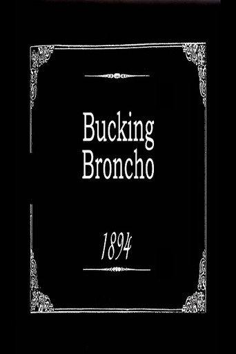 Bucking Broncho (1894) poster