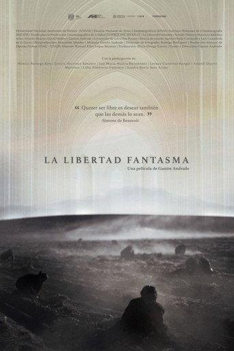 The Phantom Liberty (2022) poster