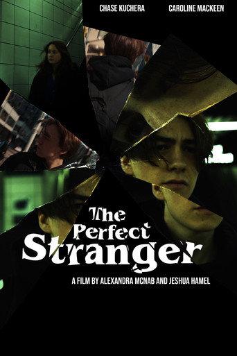 The Perfect Stranger (2023) poster