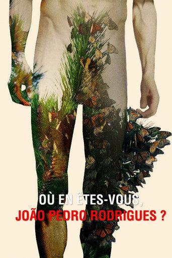 Where Do You Stand Now, João Pedro Rodrigues? (2016) poster