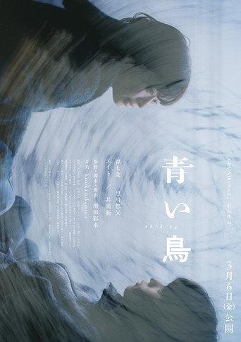 青い鳥 (2026) poster