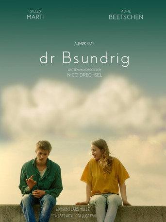 dr Bsundrig () poster